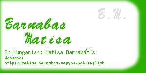 barnabas matisa business card